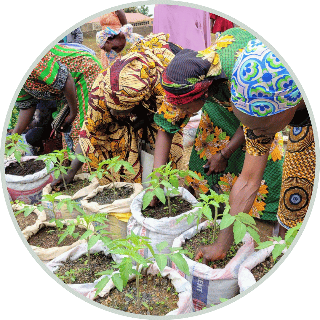 Kaduna Women Economic Empowerment: Income increase in rural Nigeria